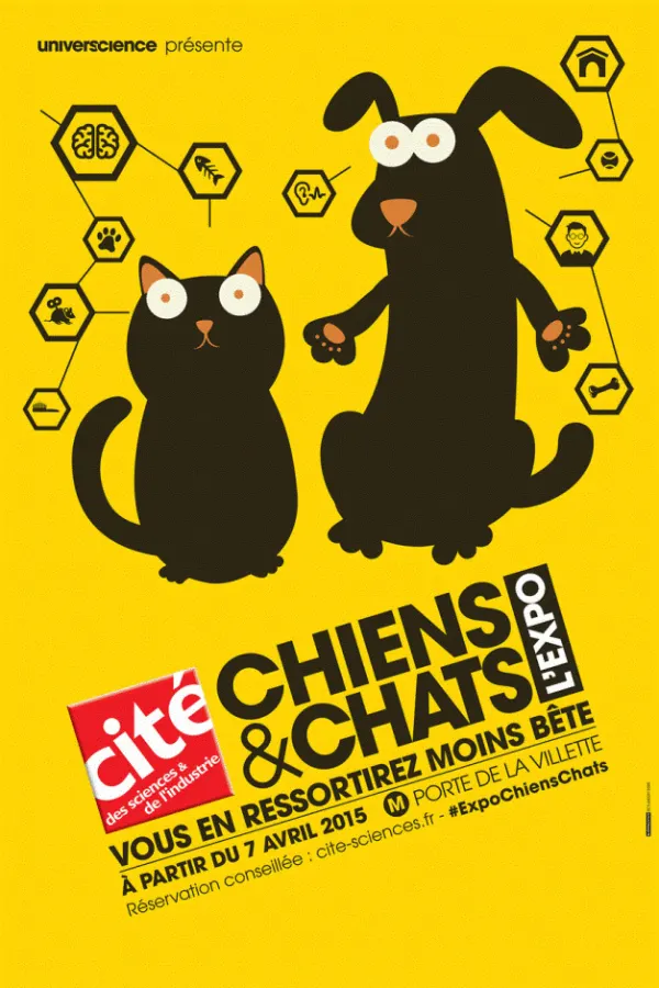 「猫与狗」感官特展 1